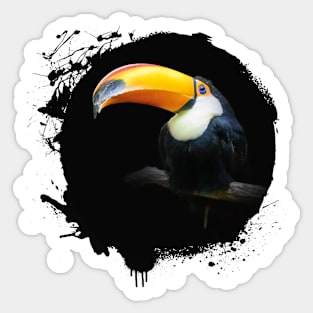 Toucan Toco Bird Animal Wildlife Forest Nature Flight Outdoor Sticker